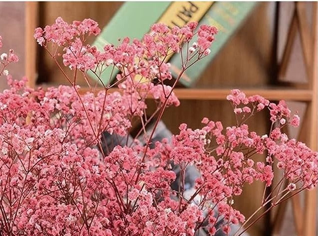 Baby Breath Preserved Dry Flowers  10g