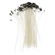 Candle Wick - 7cm