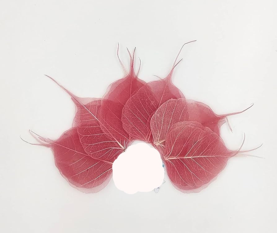 Peepil leafs