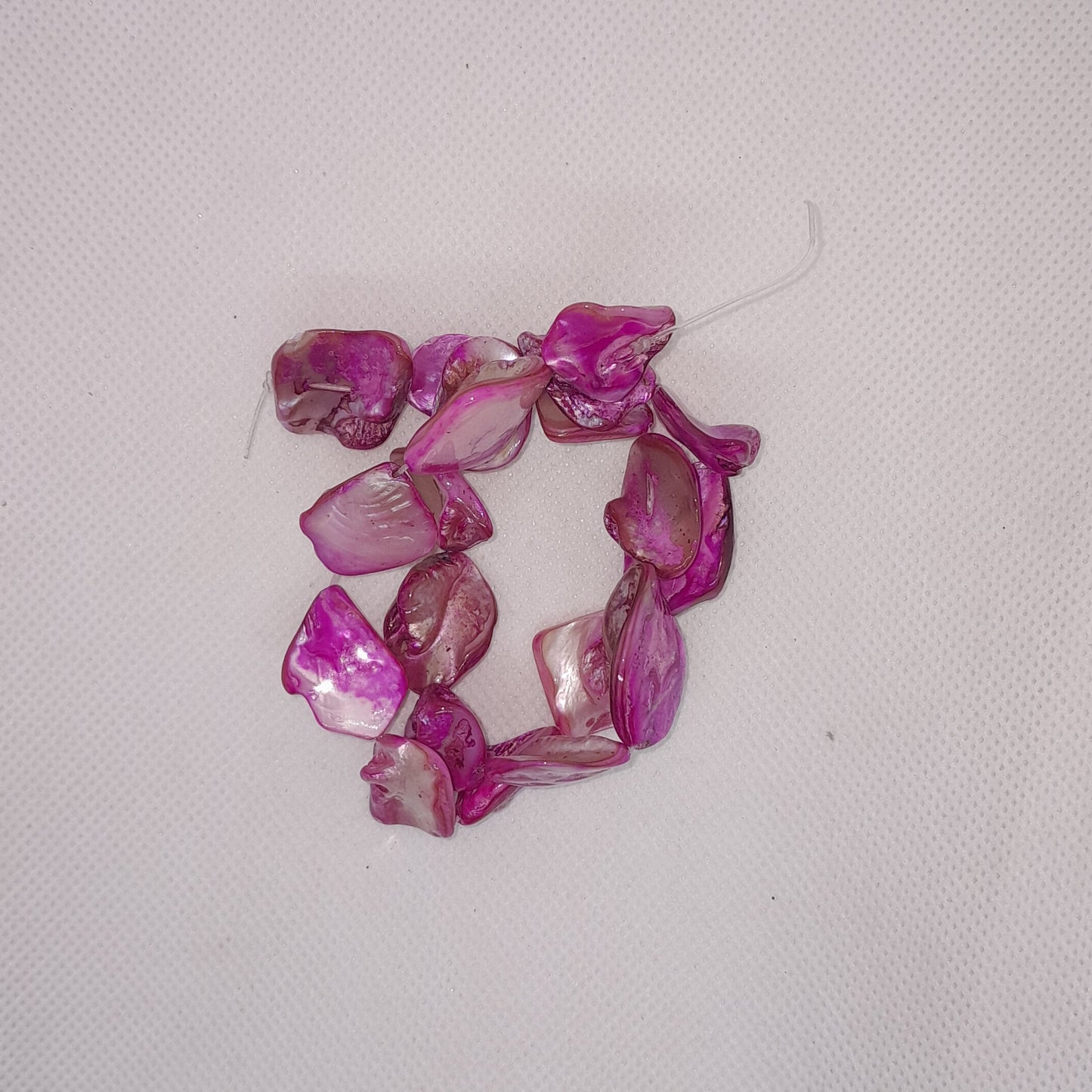 Shell Beads