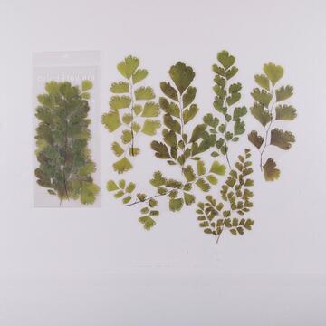 Sticker - Flowers 2