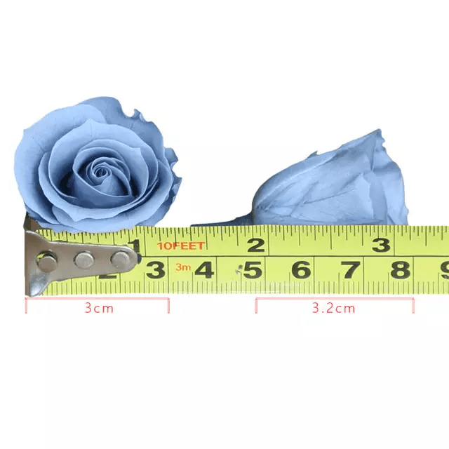 Valentine Rose  - Single Piece Bestow Charms