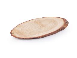 Wooden Slice - oval - approx 10"